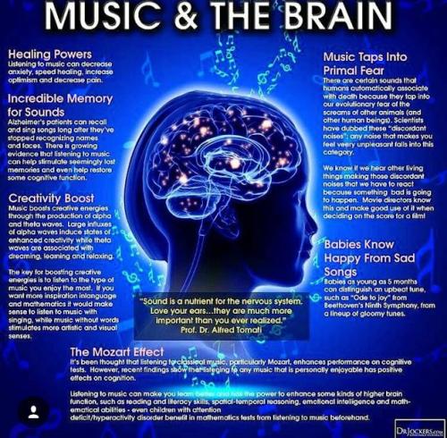 ,       ,        423193798_7468111