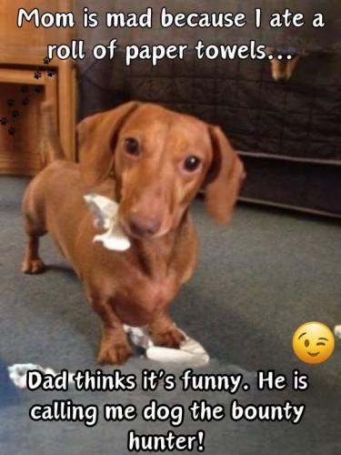 Resized_FB_IMG_1736447850443