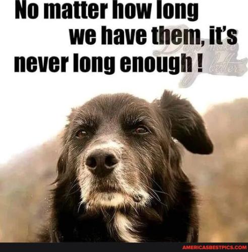 73559d90a71bd2164b166fa786510d9d86bdaf80de064ea34d0bac1a82c809d2_1