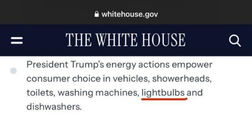 photo_2025-01-21_20-12-00