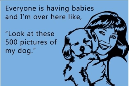 everyone-is-having-babies-and-over-here-like-look-at-these-500-pictures-my-dog