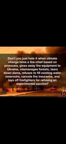 Screenshot_20250113_193605_Gallery