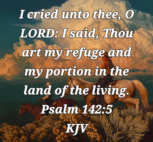 7835e24b-d74b-4286-9f5f-2d7151116e27