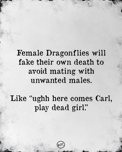 D7CF0AFD-0B53-458D-9C0F-A00BEDC1BF30