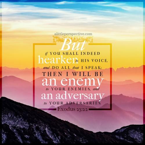 exo-23-22-unsplash-9x