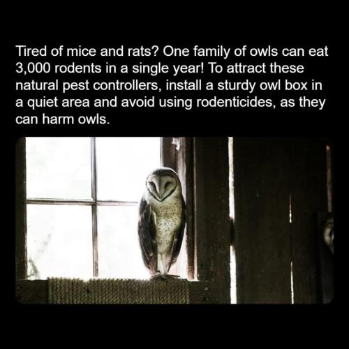 2DA0CDCE-66BF-465F-9172-998888880575