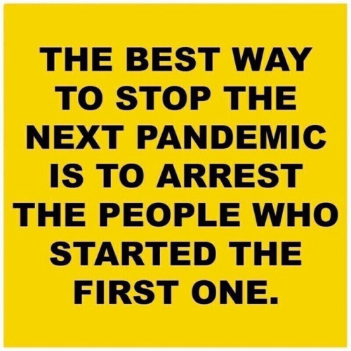 image_2024-12-31_193619700