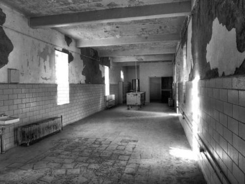 Trans-Allegheny Lunatic Asylum, Weston, West Virginia 3