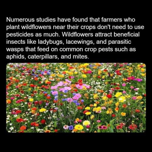 41481D5A-C7E6-4E2E-99F3-517AA321974A