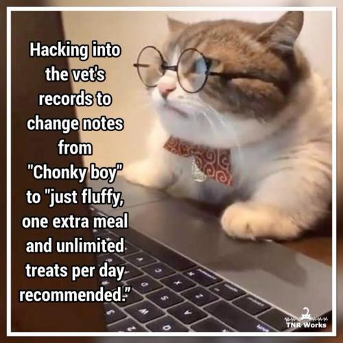 1b810ba03042341df398fc7346c7065d