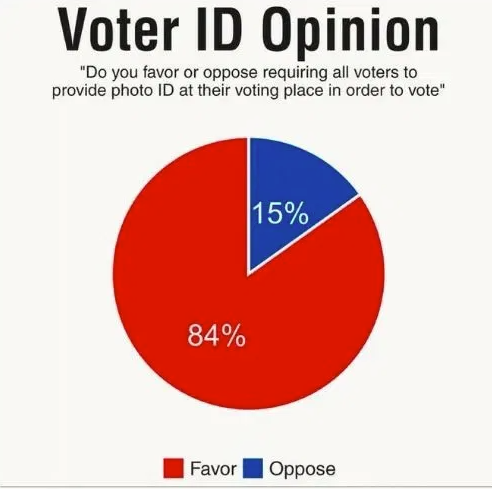 image_2025-01-09_061917108