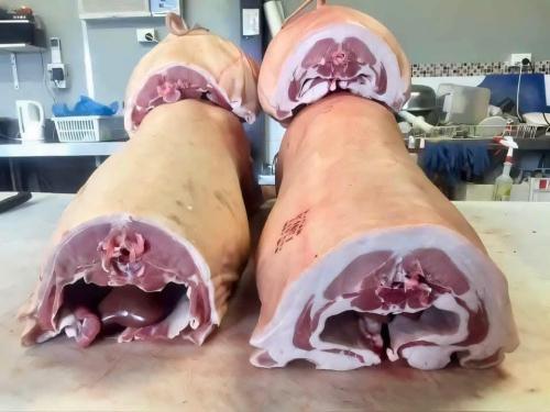 9bbb56f0-5df2-4e4c-9e3b-7f3a0e886ee3