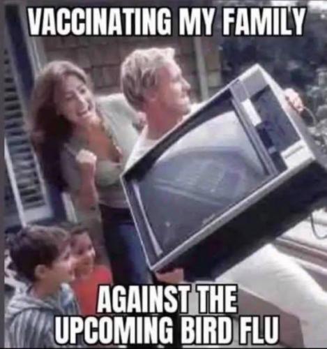 photo_2025-01-05_16-23-11