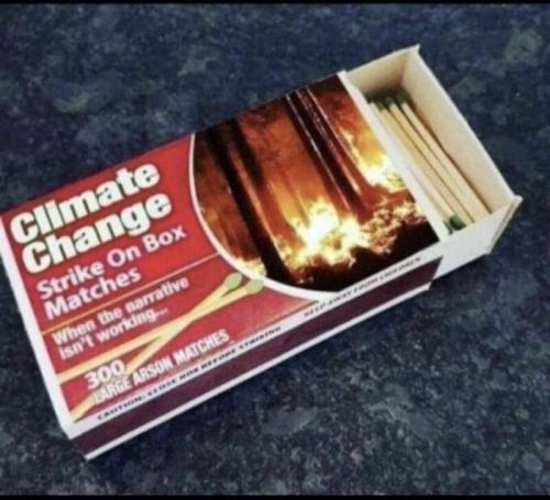 image_DEBFD44B-450F-4899-9C29-74A5143E78D1