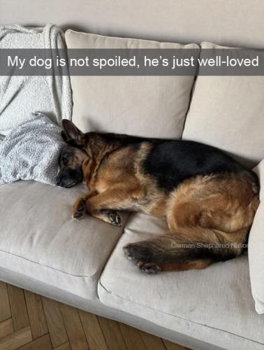 FB_IMG_1737509489936