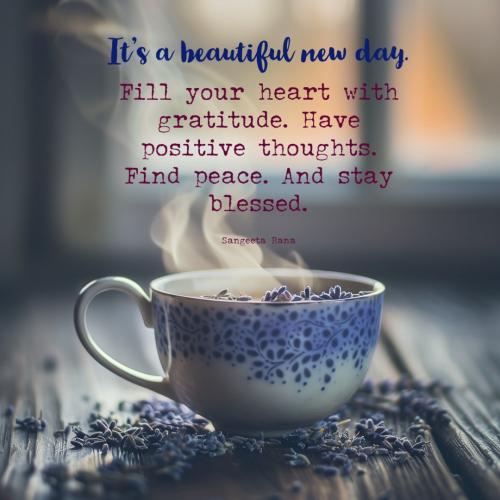 475184980_1226405498971628_3224604234612200623_n