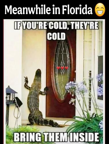 423c8288-df62-4c11-b513-6bea5a01aab8