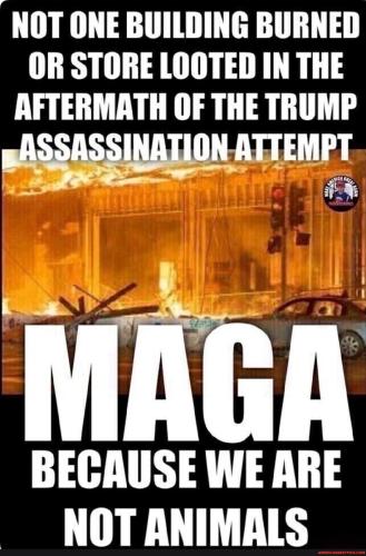 72200a091ba6f8abc9544c0293a20bb52b2fcc7d556934879e1efa23cf92e217_1