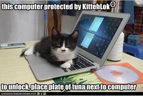 8196839c52969c4a9871e40e1b5e3c6c