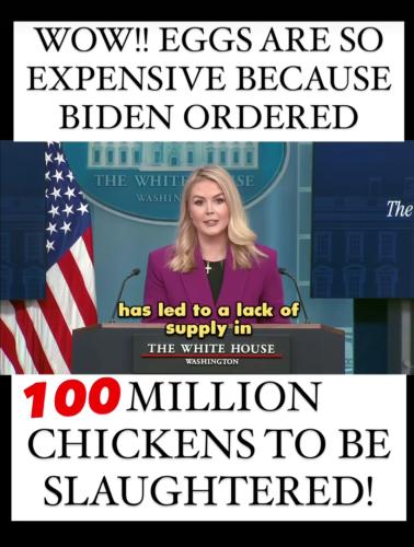 Screenshot_20250129_121301_Instagram