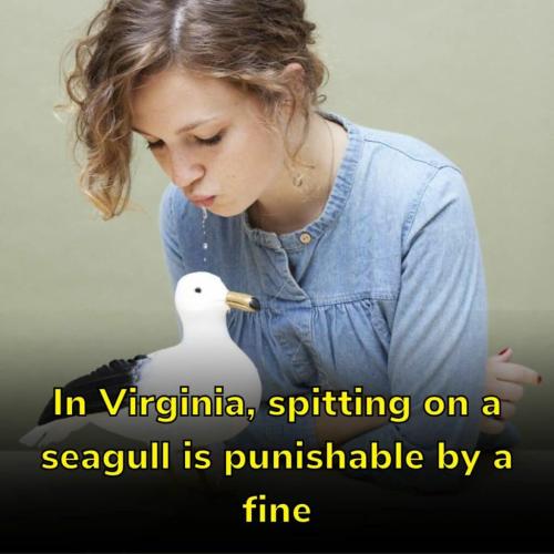 00000000000000000000000000000000000000000000000000000000000000000000000000000000000000000000000000000000000000000000000000000000000000000000000000000000000000000000000000000000000000000000000000000000000000000000nvu