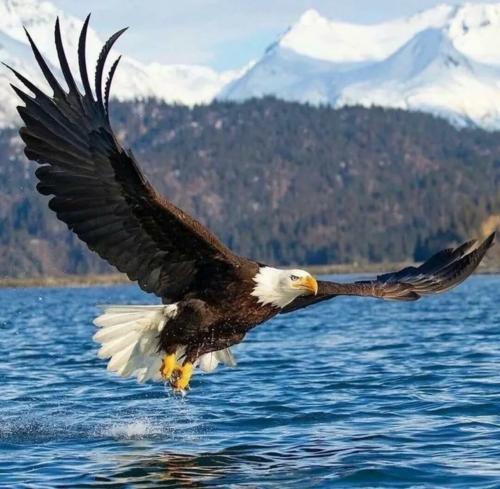 14:25:36 GMT-0600 (CST)