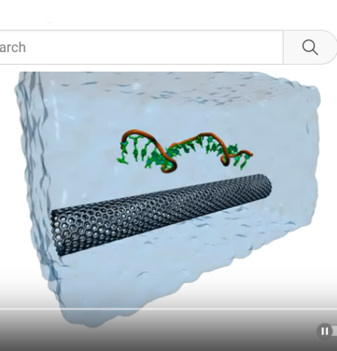 Screenshot 2024-04-17 at 08-43-44 Self-assembly of a Carbon-nanotube DNA hybrid