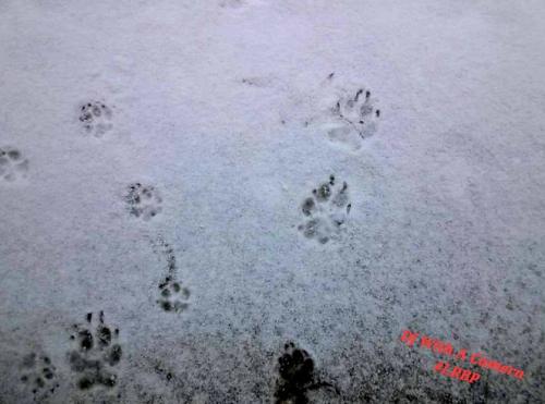 Screenshot_20250104_070015_Gallery