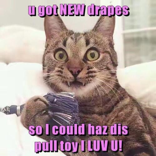 805d95c1197cd151a3e90ca784e36091