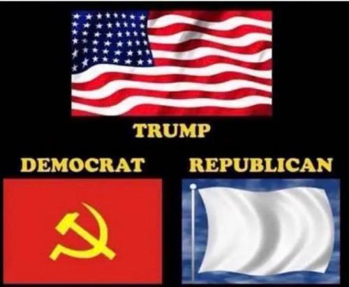 FB_IMG_1735958787284