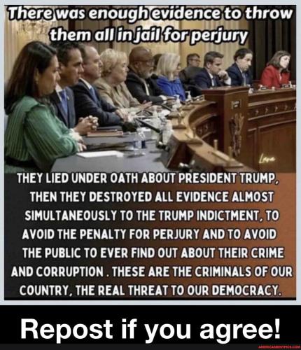 c03d0d3a17eaa949648712276afd1e77f3ee858542fdc92d8a96bde4859a69cf_1