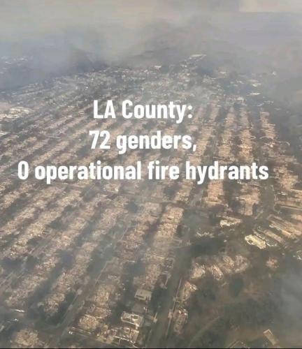 photo_2025-01-10_22-20-27