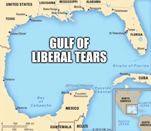 image_2025-02-10_064727470