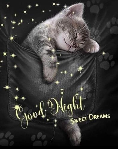 FB_IMG_1739481135860