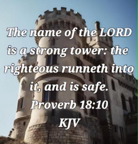 e9e208dd-52a1-408d-9165-89ab891b626b