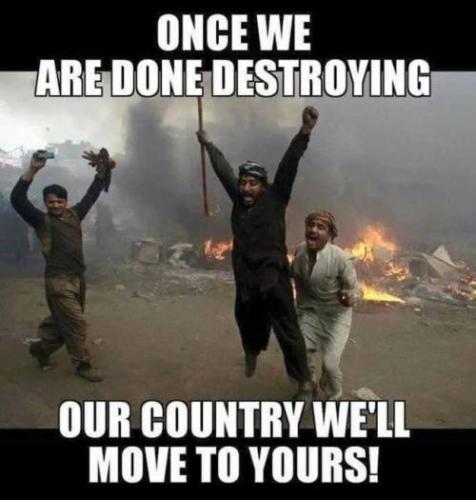 20250208_143553