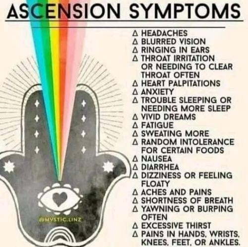 480993243_8943026935807160_3446322683370464402_n