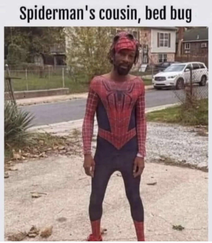 image_9026222C-FF2C-4E3B-AF26-92C6F32EBB25