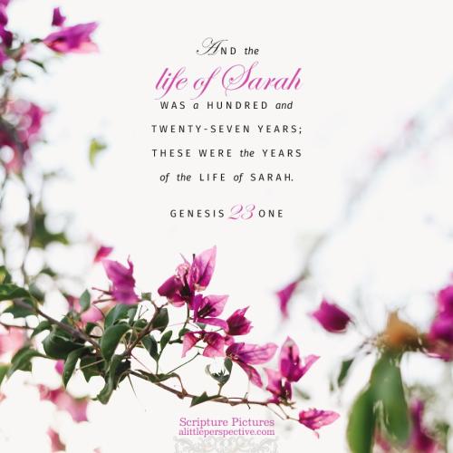 gen-23-1-JPS-unsplash