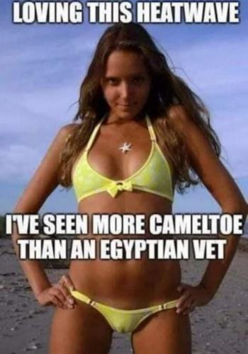 image_0CB2B8C9-E581-42EE-9792-716ED5DC8528