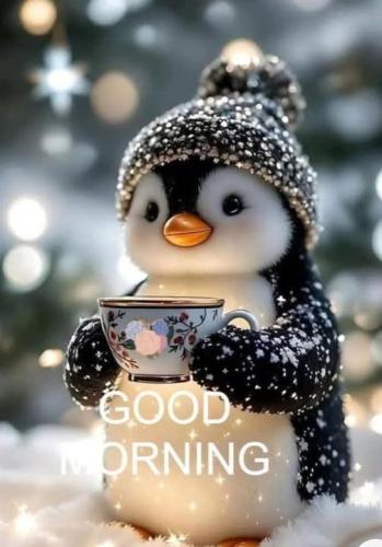 480248319_3871774109818989_9144635632806969916_n