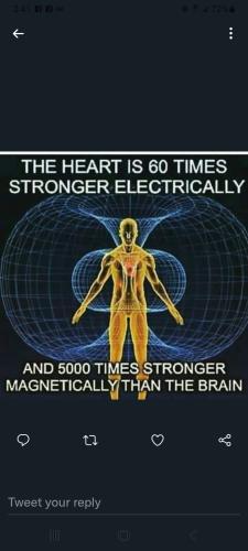 ,       ,        423193798_7468111