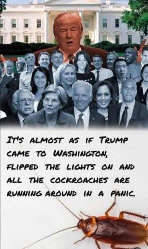 476151071_1045972547558299_8508438077045683195_n