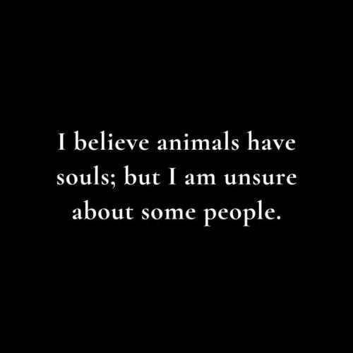 e5e68bbeaa93e2e6143302945417c53c