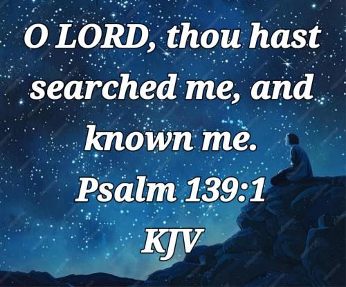 824492ac-31c4-497d-add9-a09b510e6090