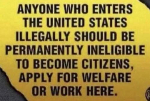 IMG_20250212_055926_456