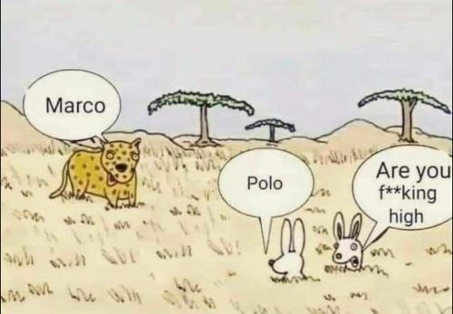 FB78F979-4CDD-43AA-8BE2-31B0541A419E