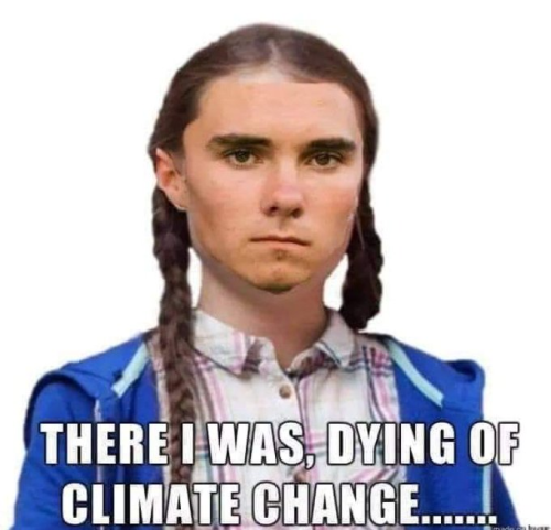 image_2025-02-03_063344309