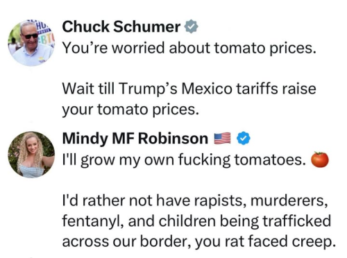 image_2025-02-02_074905640