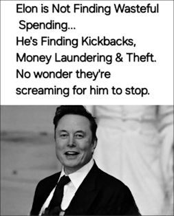 government efficiency28